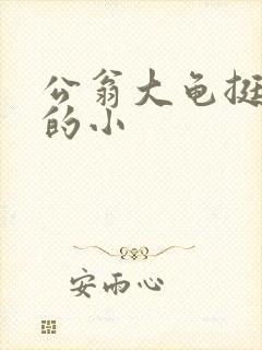 公翁大龟挺进我的小