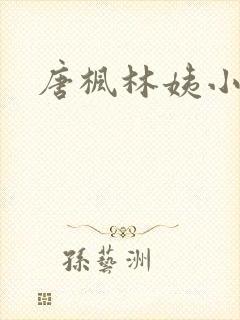 唐枫林姨小说
