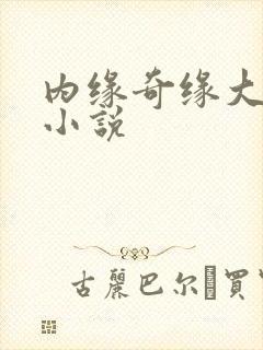 内缘奇缘大团圆小说封面