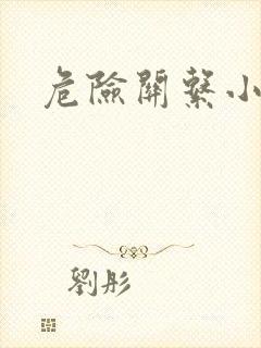 危险关系小说封面