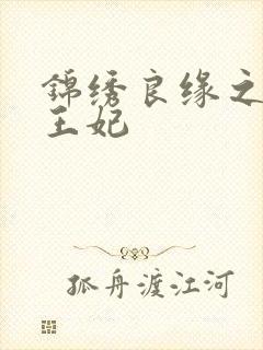 锦绣良缘之北地王妃