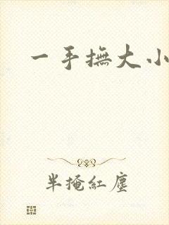 一手抚大小说封面