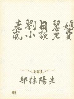 老刘日儿媳妇张岚小说免费阅读