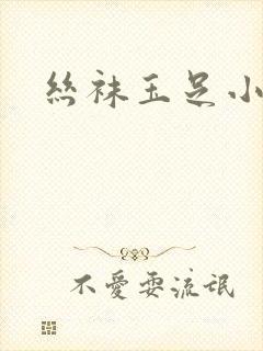 丝袜玉足小说封面