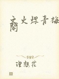 文火煨青梅笔趣阁封面