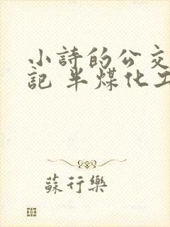 小诗的公交车日记 半煤化工
