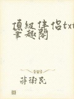 顶级伴侣txt笔趣阁