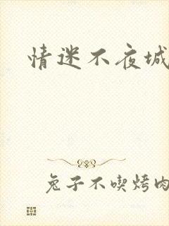 情迷不夜城