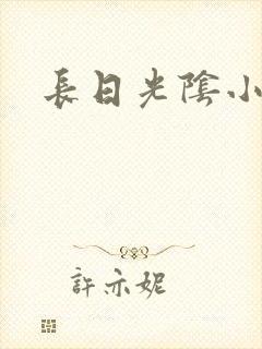 长日光阴小说