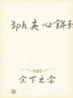 3ph夹心饼干封面