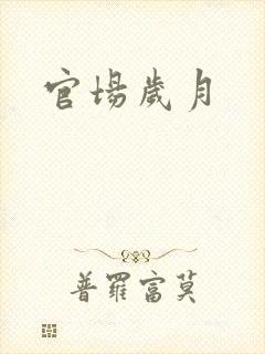 官场岁月