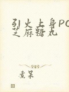 引火上身POP芝麻糖丸