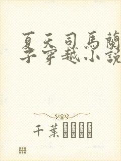 夏天司马兰九皇子穿越小说笔趣阁封面