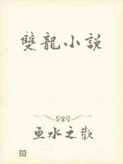 双龙小说