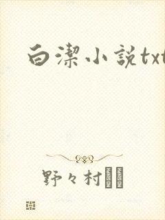白洁小说txt