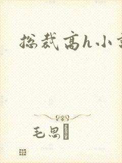 总裁高h小说封面