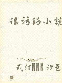 很污的小说封面