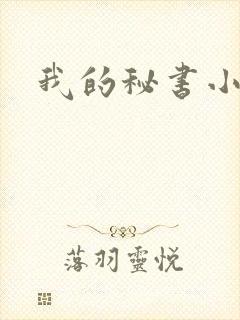 我的秘书小姐封面