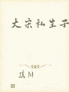 大宋私生子封面