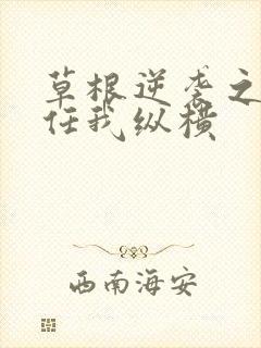 草根逆袭之都市任我纵横