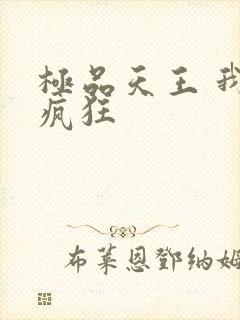 极品天王 我本疯狂封面