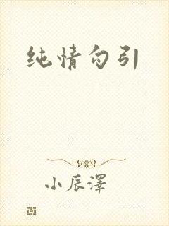 纯情勾引封面
