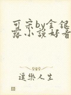 可宋by金银花露小说好看吗
