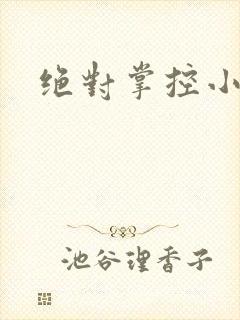 绝对掌控小说