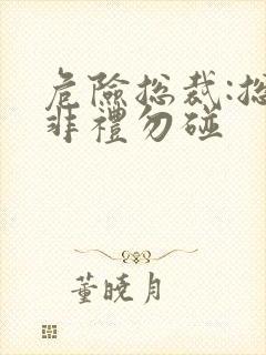 危险总裁:总裁非礼勿碰封面