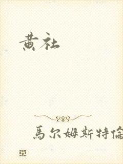 黄社封面