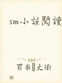 sm小说阅读