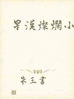 星汉灿烂小说