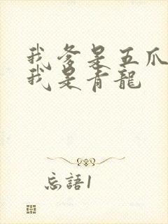 我爹是五爪金龙我是青龙封面