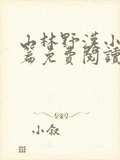 山林野汉小说全篇免费阅读封面