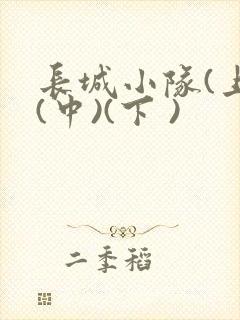 长城小队(上)(中)(下 )封面