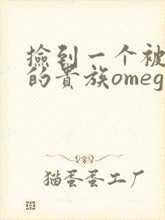 捡到一个被抹布的贵族omega封面