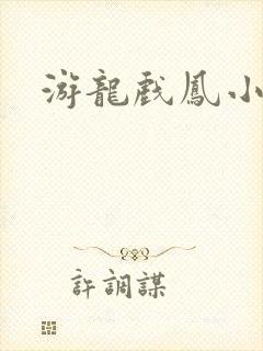 游龙戏凤小说封面