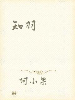 知羽封面