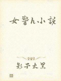 女警h小说封面