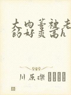 大肉蒂被老头嘬的好爽高h封面