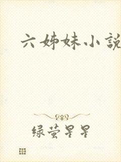 六姊妹小说