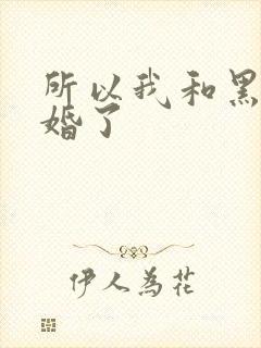 所以我和黑粉结婚了