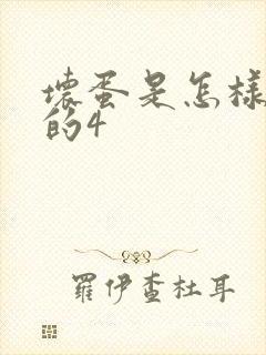 坏蛋是怎样炼成的4封面