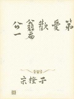 公翁欢爱第三十一篇