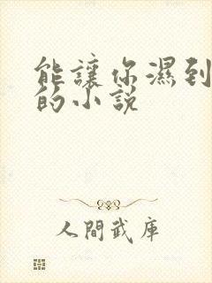 能让你湿到不行的小说封面