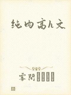 纯肉高h文