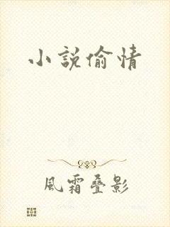 小说偷情