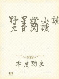 野星灯小说全文免费阅读