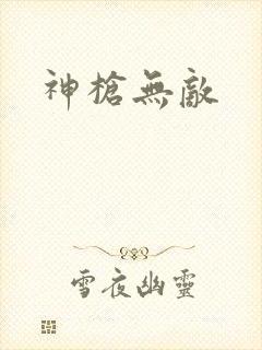 神枪无敌封面