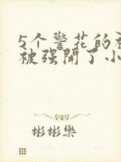 5个警花的初苞被强开了小说封面